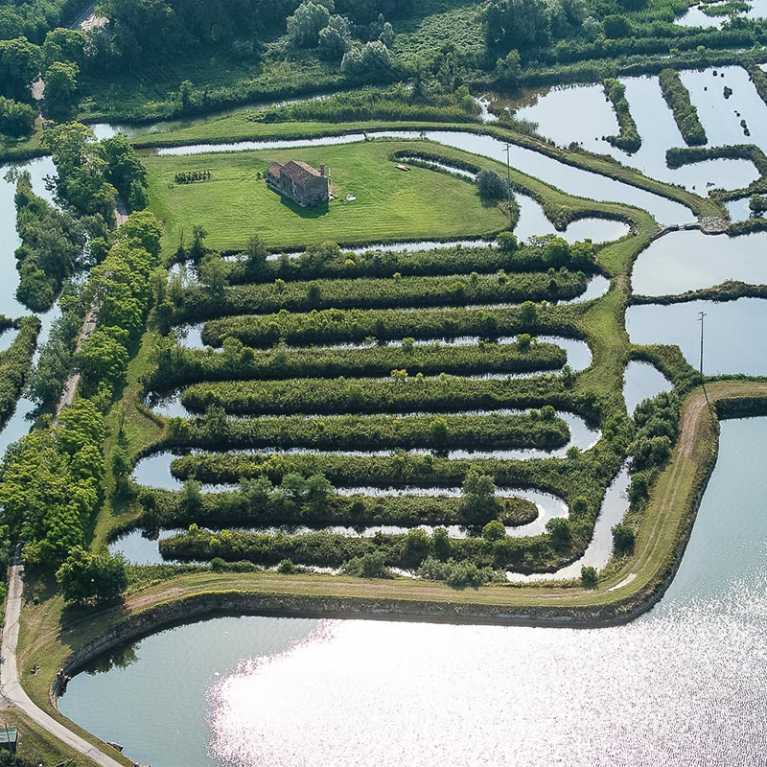 Delta del Po
