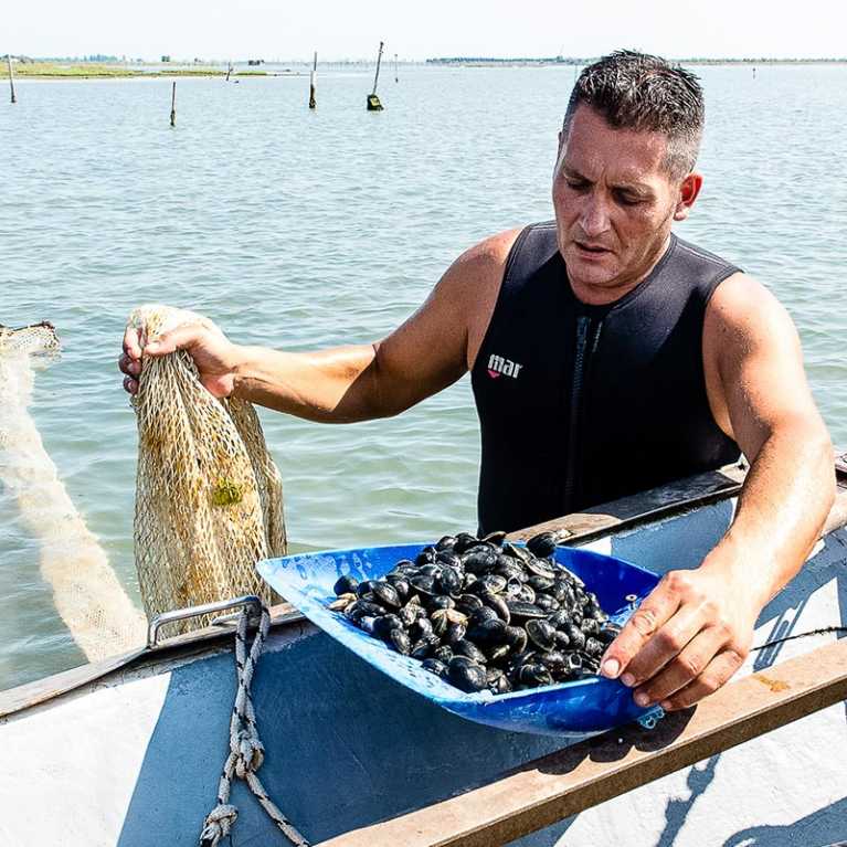Dettaglio pesca vongole