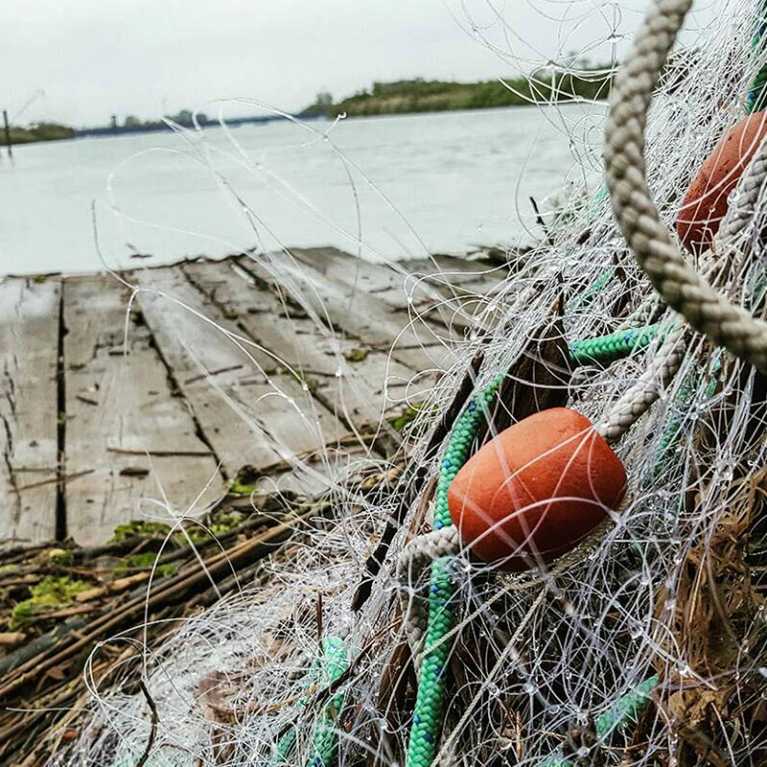 Reti pescatori