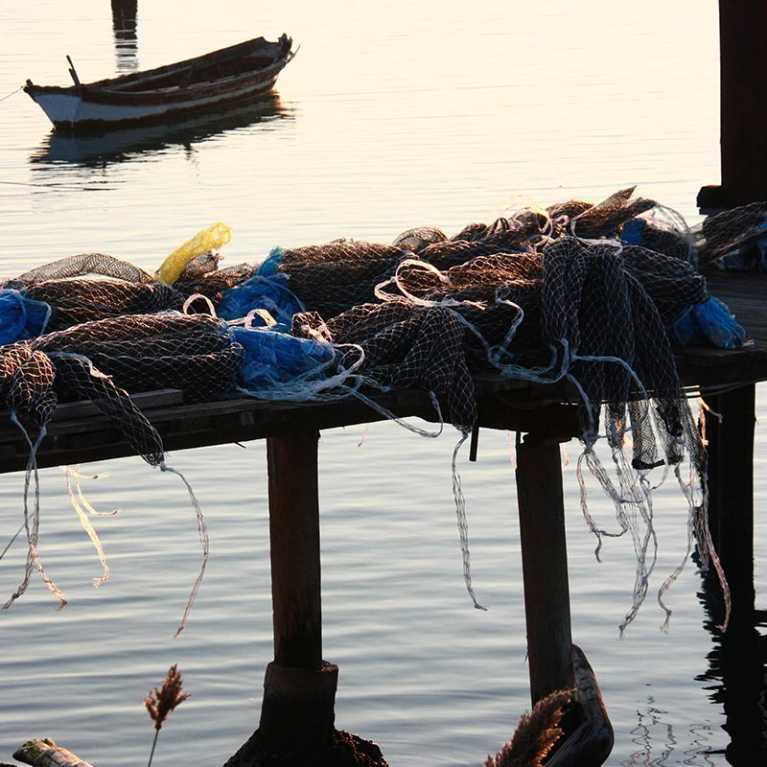 Reti pescatori