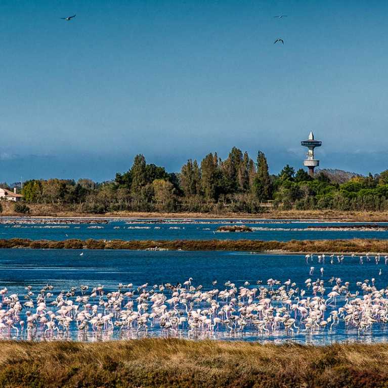 Valli Rosolina