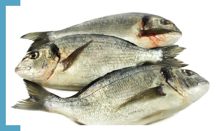 Orata 