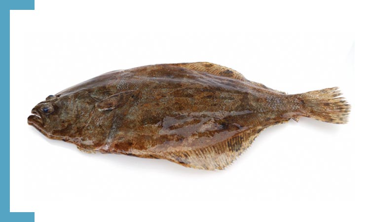 Passera Pianuzza
