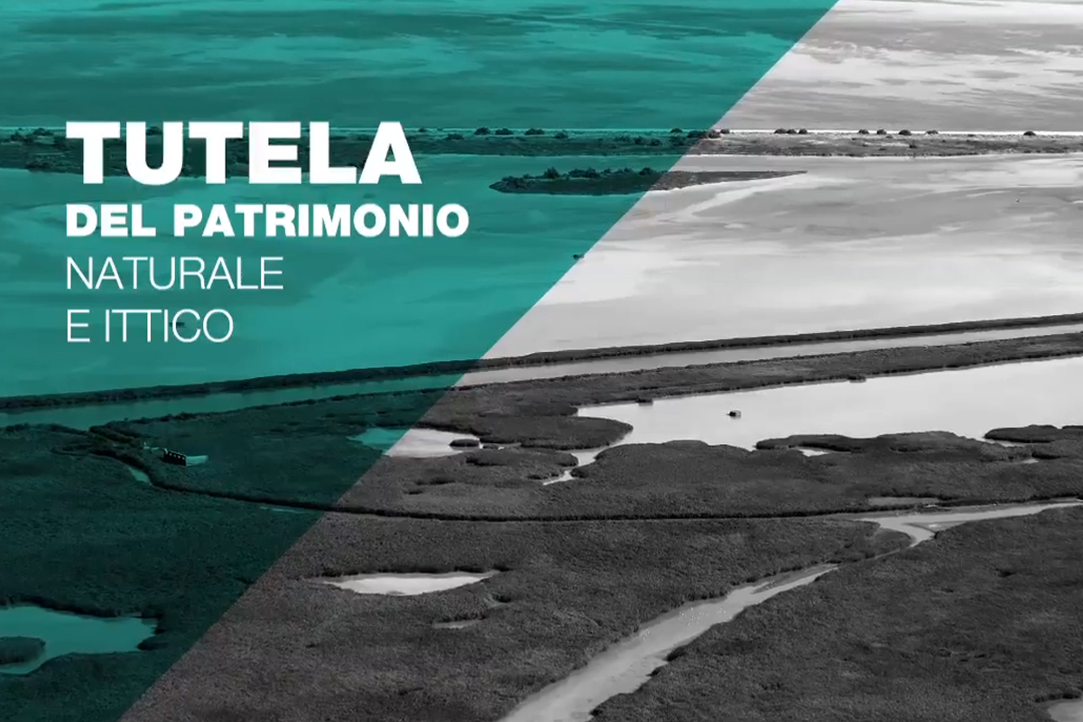 GAC Chioggia Video presentation